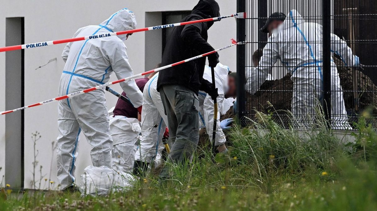 Polska para znalazała pod drogą do nowego domu szczątki 29 nienarodzonych dzieci