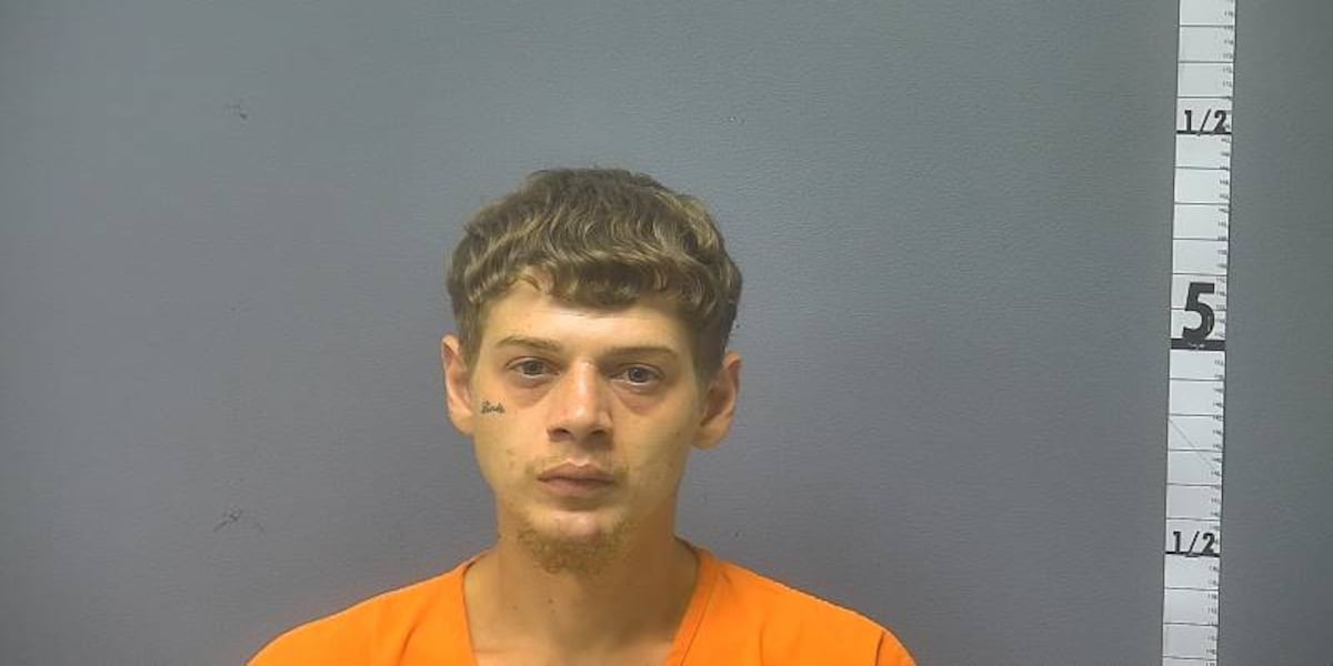 Virginia resident jailed after bullets hit cars and structure