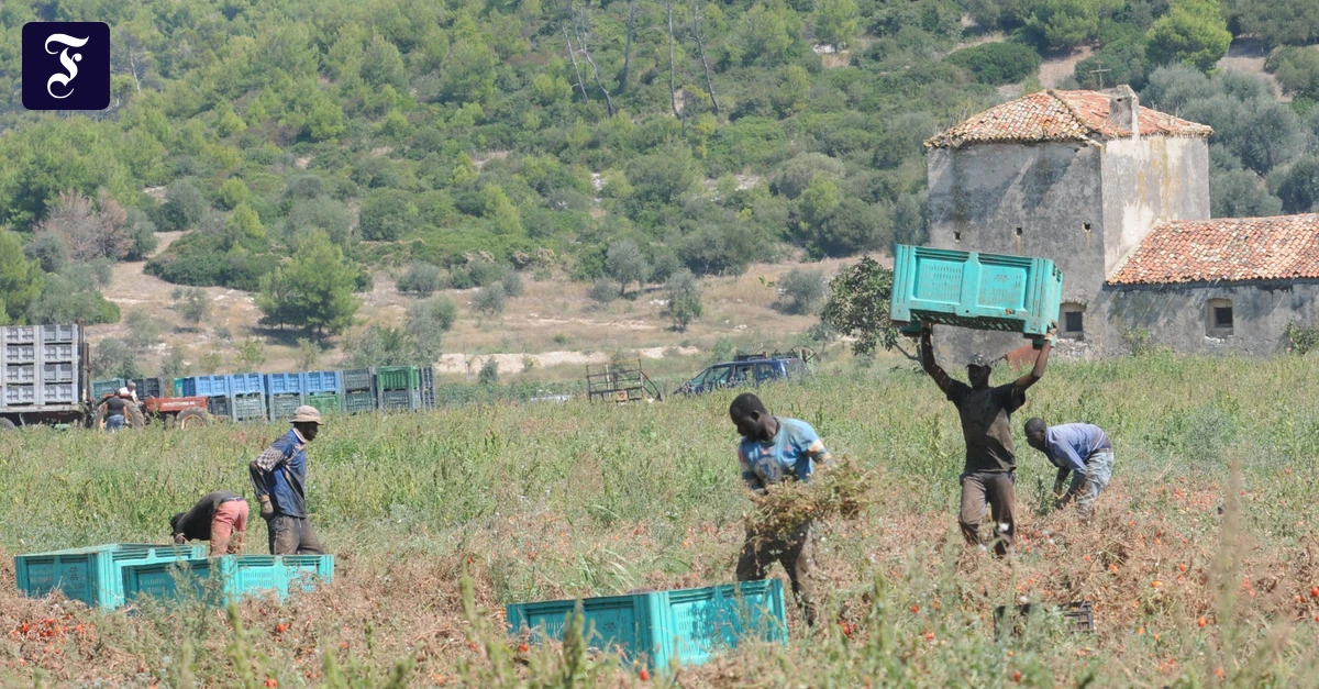 Quattro lavoratori migranti bruciati vivi in Calabria: due arresti