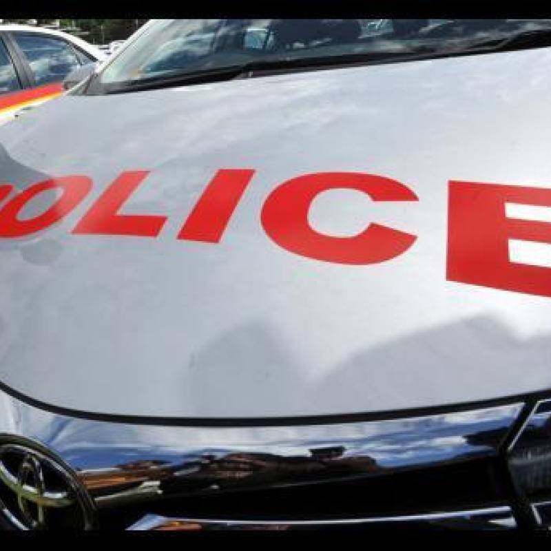 Dozens of Cartridges Found in Joint Security Sweep Across St Andrew