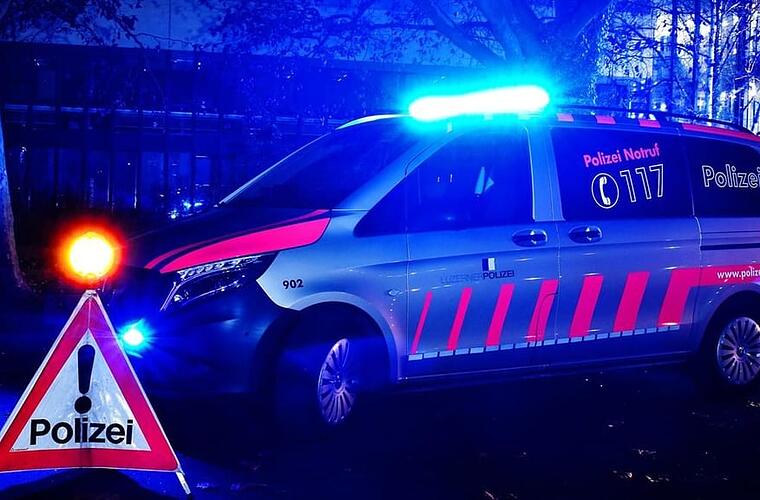 Zwei Einbrecher nach Flucht in Luzern festgenommen