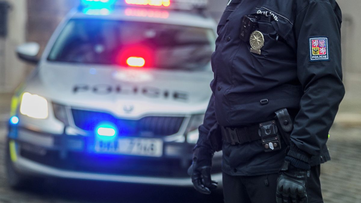 Policie obvinila přes třicet lidí z podvodu s dotacemi na zaměstnanecká školení, zajistila zlato za 20 milionů