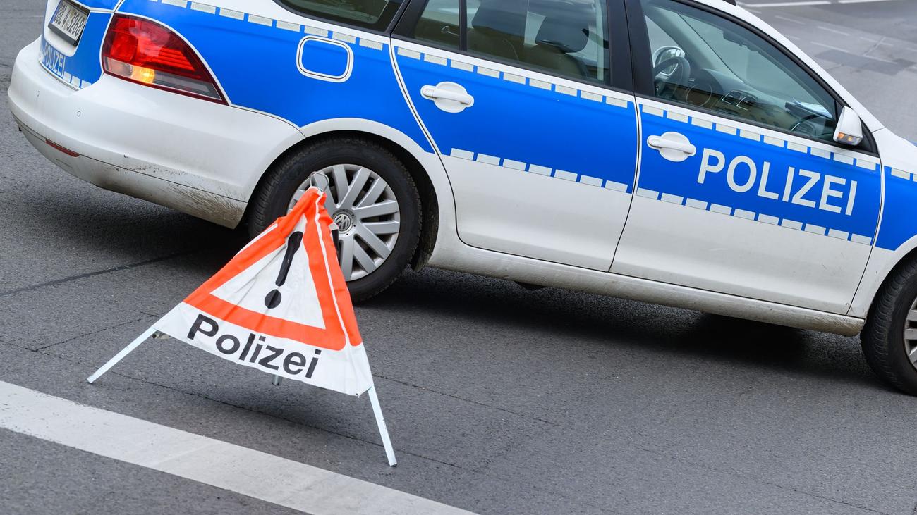 Mehr als 200 Rinder gestohlen: Polizei Brandenburg sucht blauen Viehtransporter