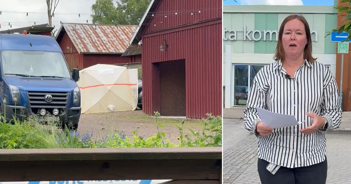 Före detta socialsekreterare kritiserar Alvesta kommun efter mordförsöken mot två barn
