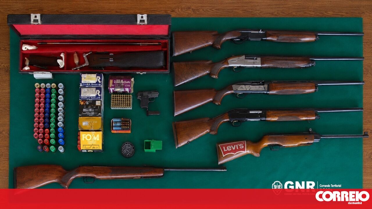 Caçador de 73 anos detido em Cantanhede com oito armas após morte de gato a tiro