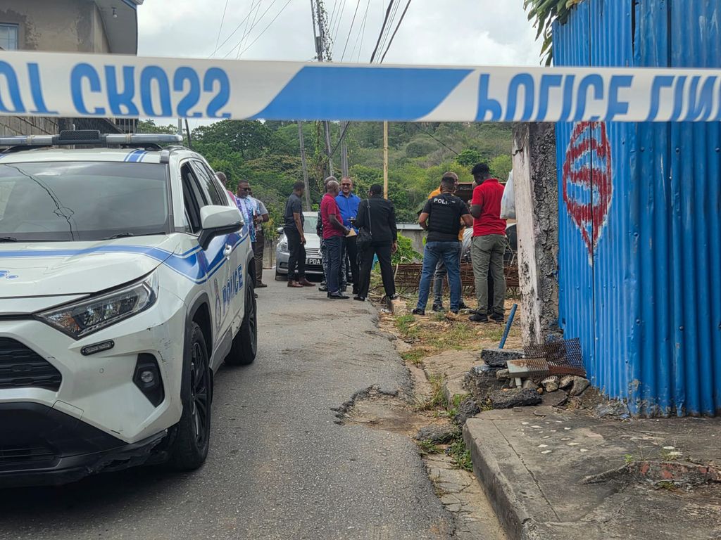 Triple Homicide in Belmont Claims Child Among Victims