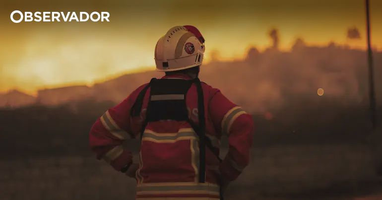 Jovem de 20 anos detido por incêndio florestal em Vila Real em setembro de 2025