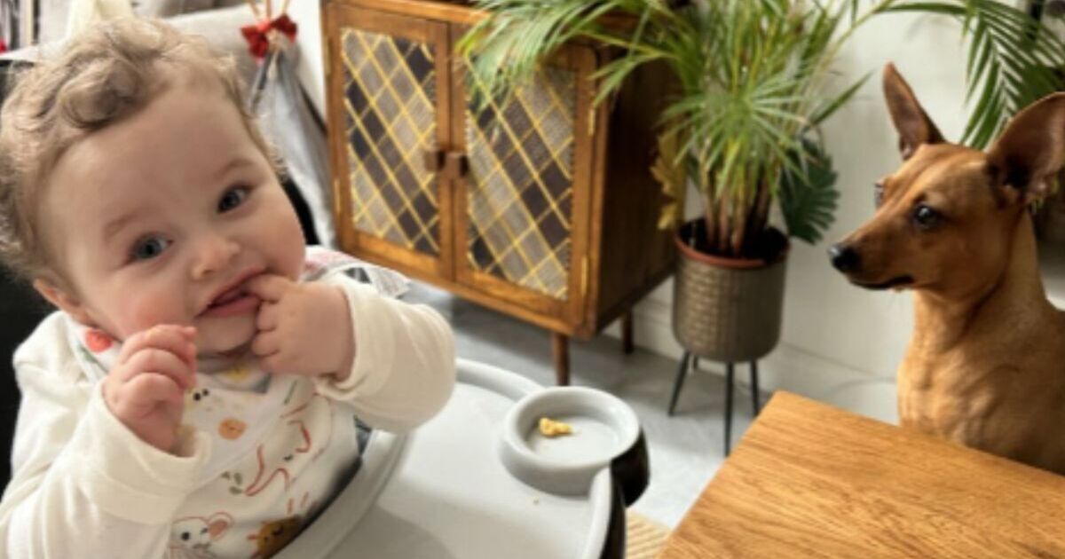 Father says "I'm going to Hell" before murder conviction of 13-month-old son