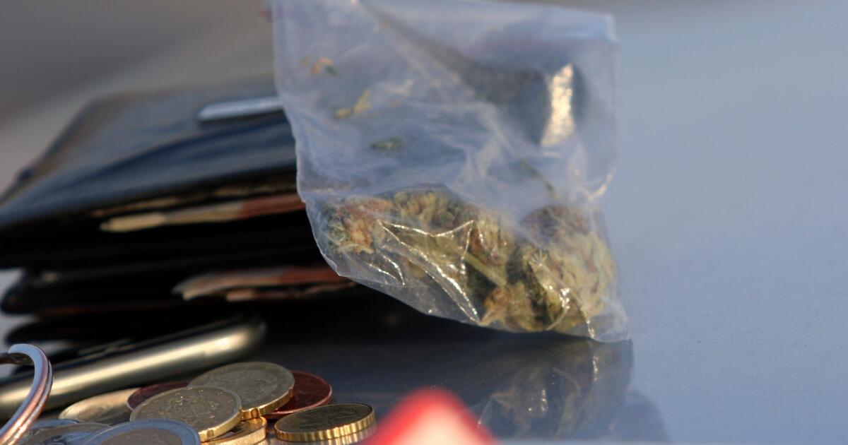 Klaipėdoje sulaikytas vyras su marihuana „Audi A6" Garažų gatvėje