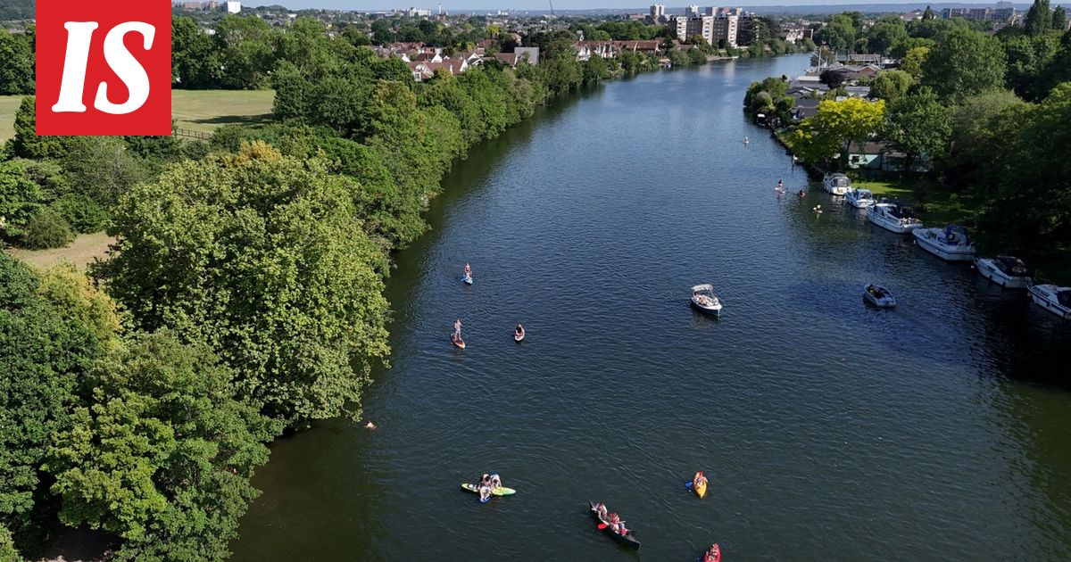 Putney pusher pidätetty – 44-vuotiaalla epäillyllä yhteyksiä Britannian hoviin