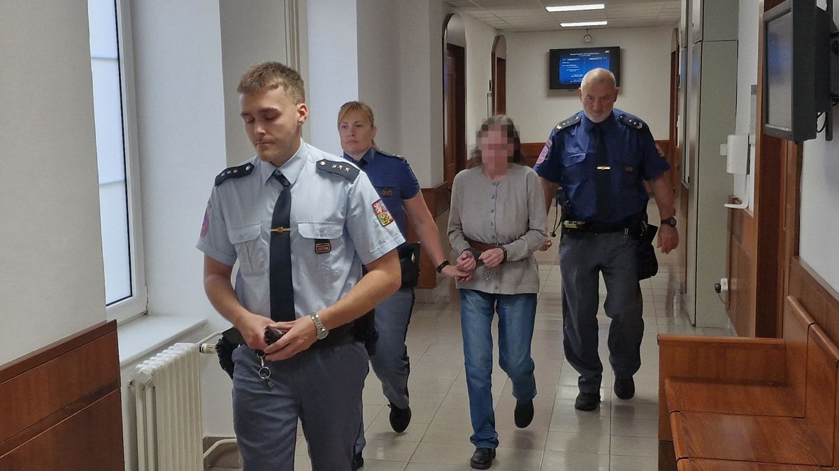 Ženě potvrdili sedm let za pokus o vraždu manžela, udeřila ho toporem