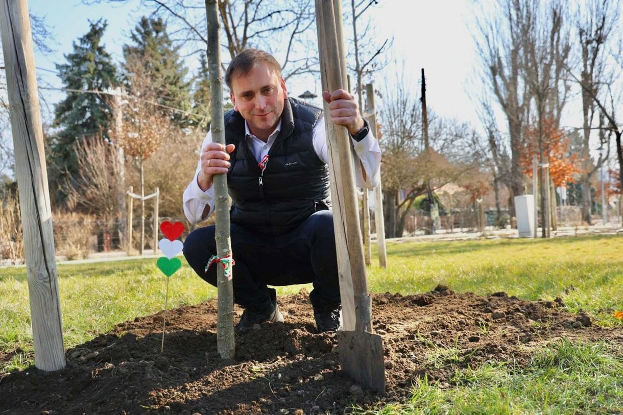 Kertészeti cégvezető szerint zsebpénzért adták a közbeszerzéseket
