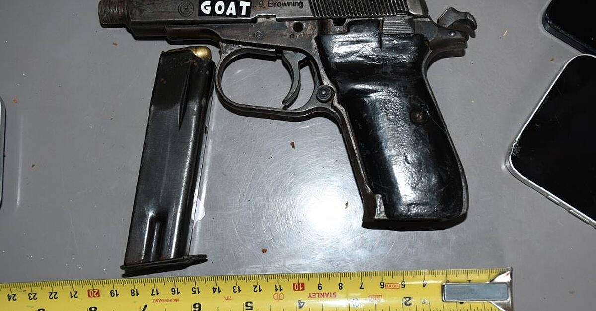 Firearm and ammunition recovered during Dublin search