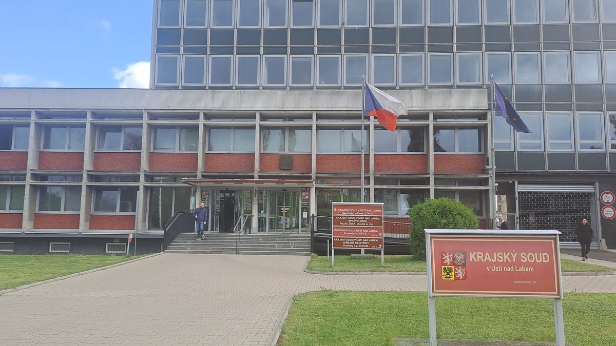 Dvanáct let vězení za pokus o vraždu novorozence v kontejneru