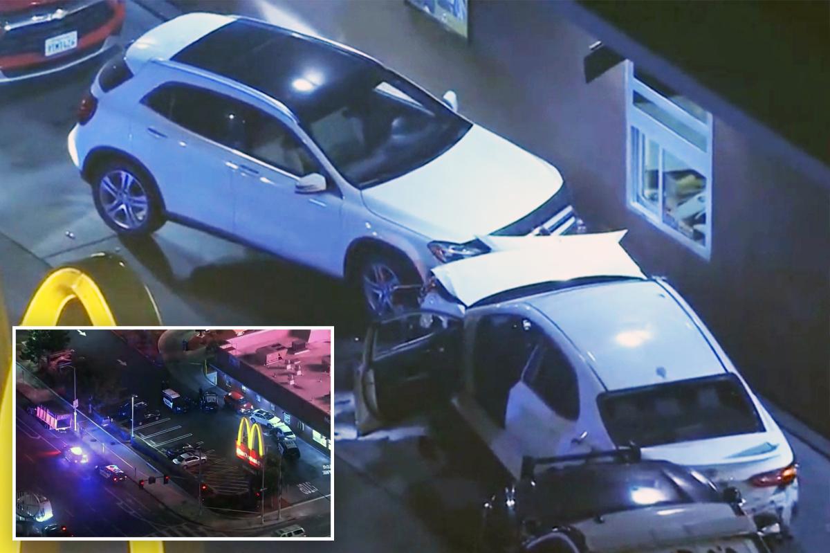 Vehicle Rampage in Culver City Leaves Six Pedestrians Hit, Officer Hurt