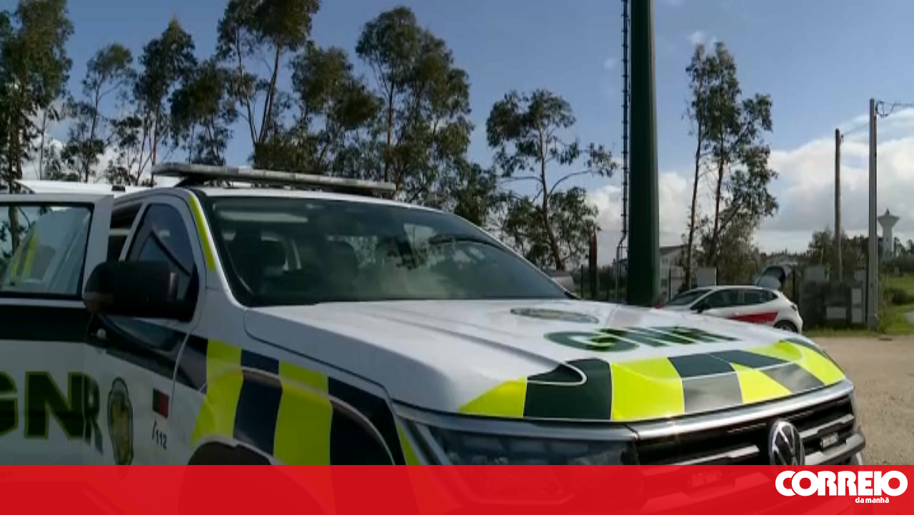 Cinco presos em operação contra rede de tabaco ilícito na área de Lisboa