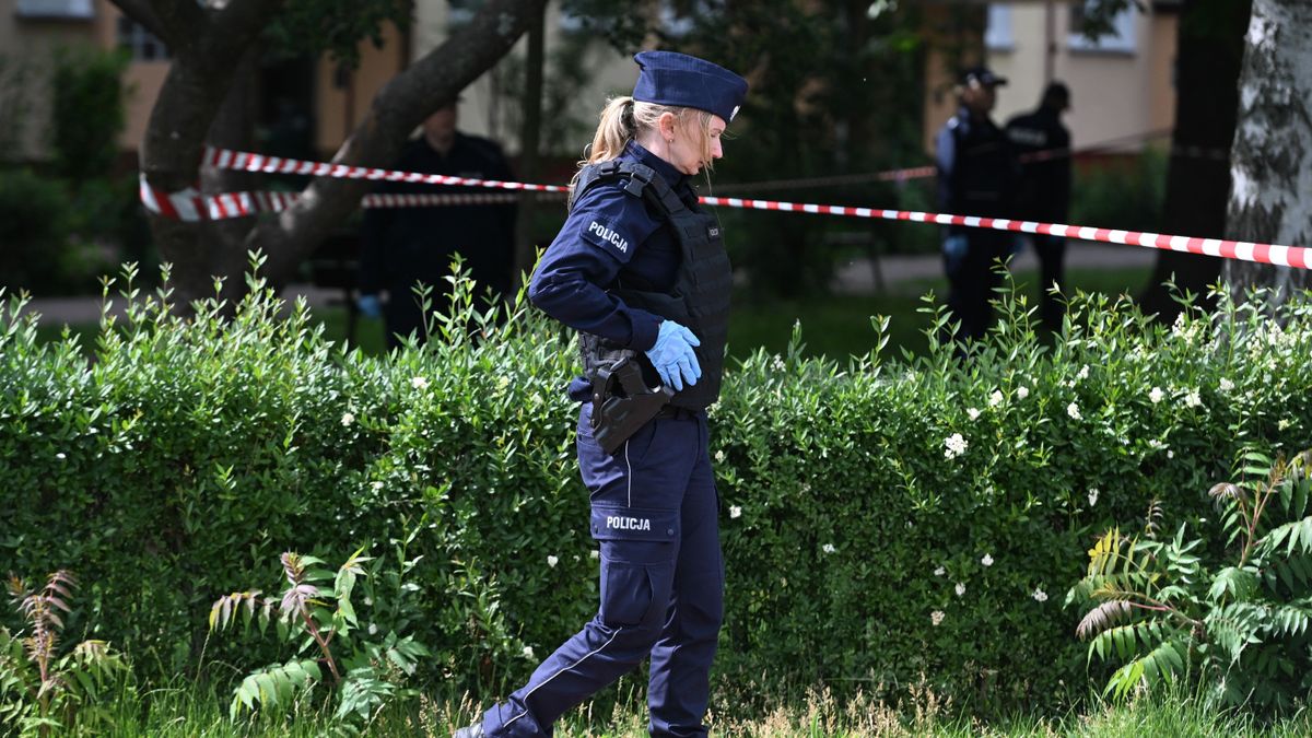 Zatrzymanie po zabójstwie krytyka Kremla w Polsce