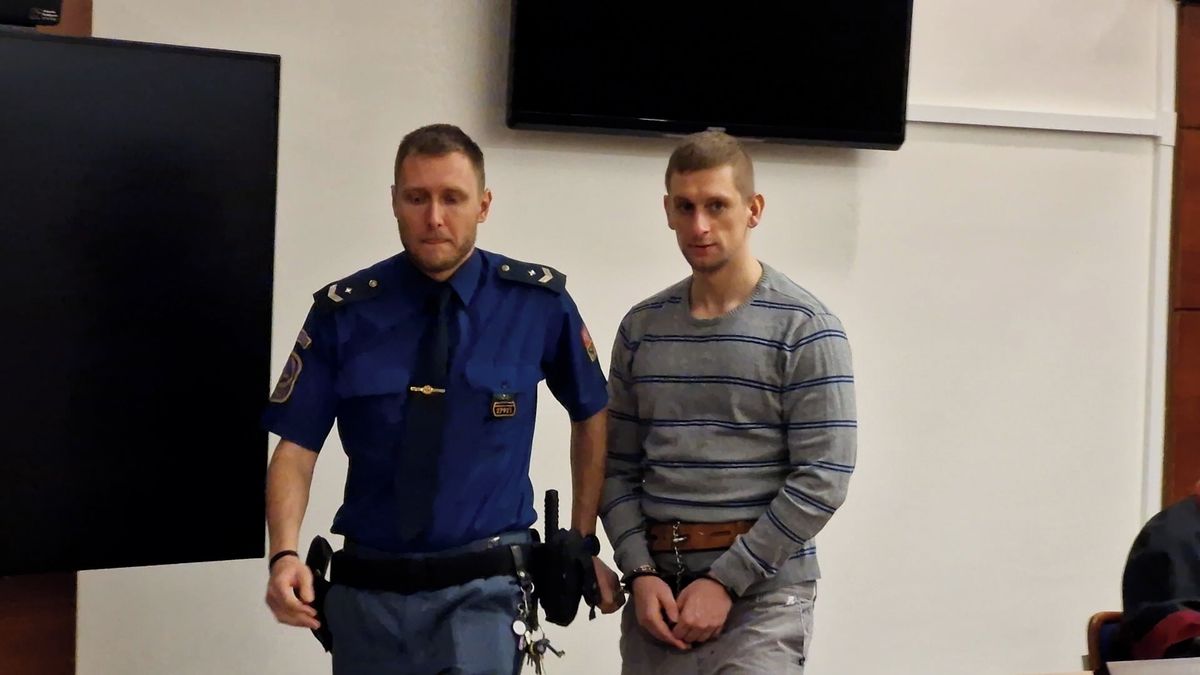 Soud potvrdil 11 let za smrt ženy, kterou pachatel nechal zemřít na poli