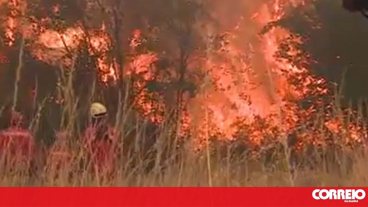 Homem de 53 anos capturado por seis incêndios na Amadora