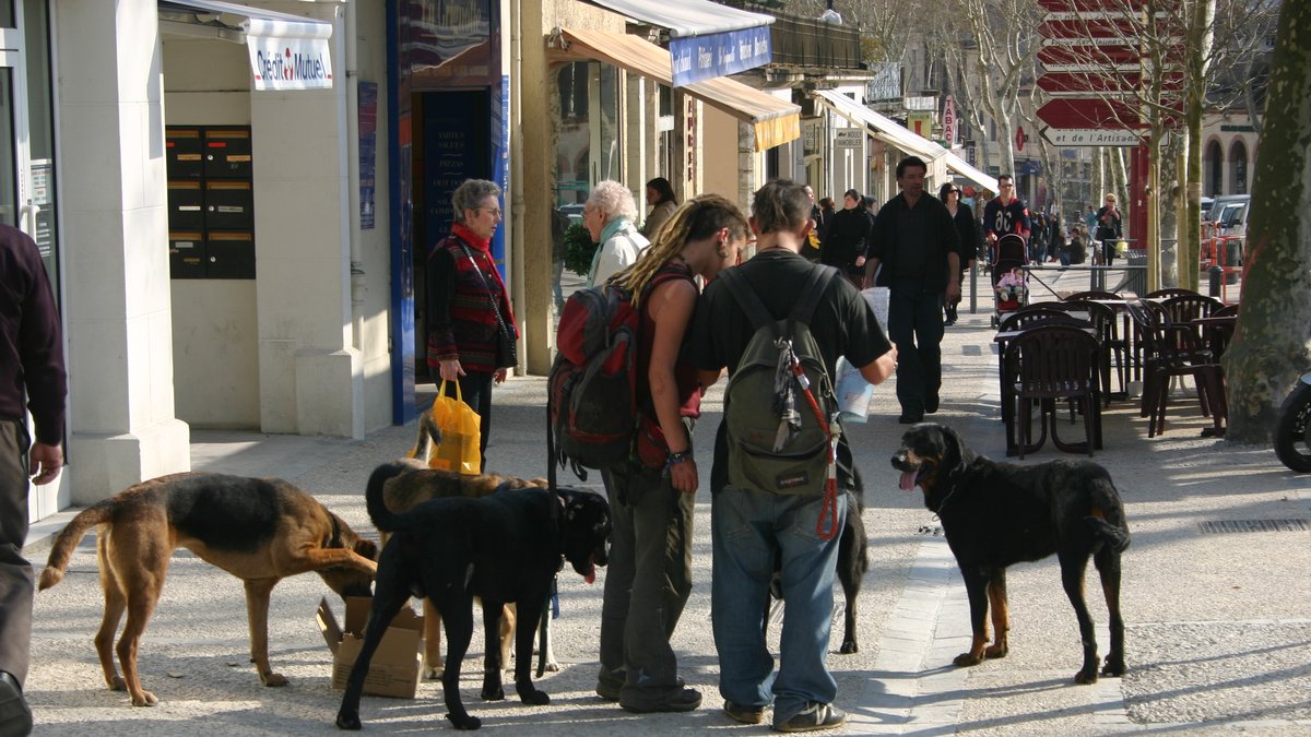 Toulouse : un SDF de 46 ans écope de 18 mois pour un vol de couteau