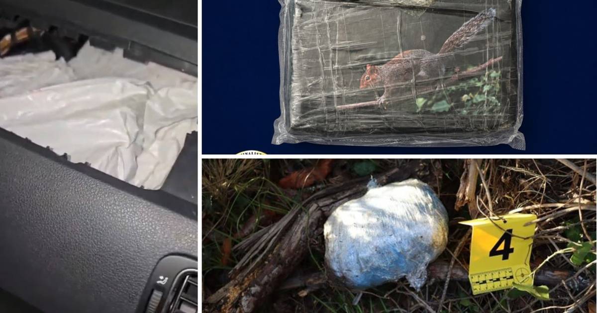 Dvojica dilera uhvaćena u Splitu i Makarskoj s više kilograma narkotika