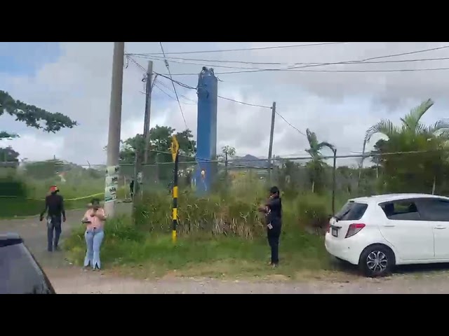 Human remains found in vegetation close to Mandeville school