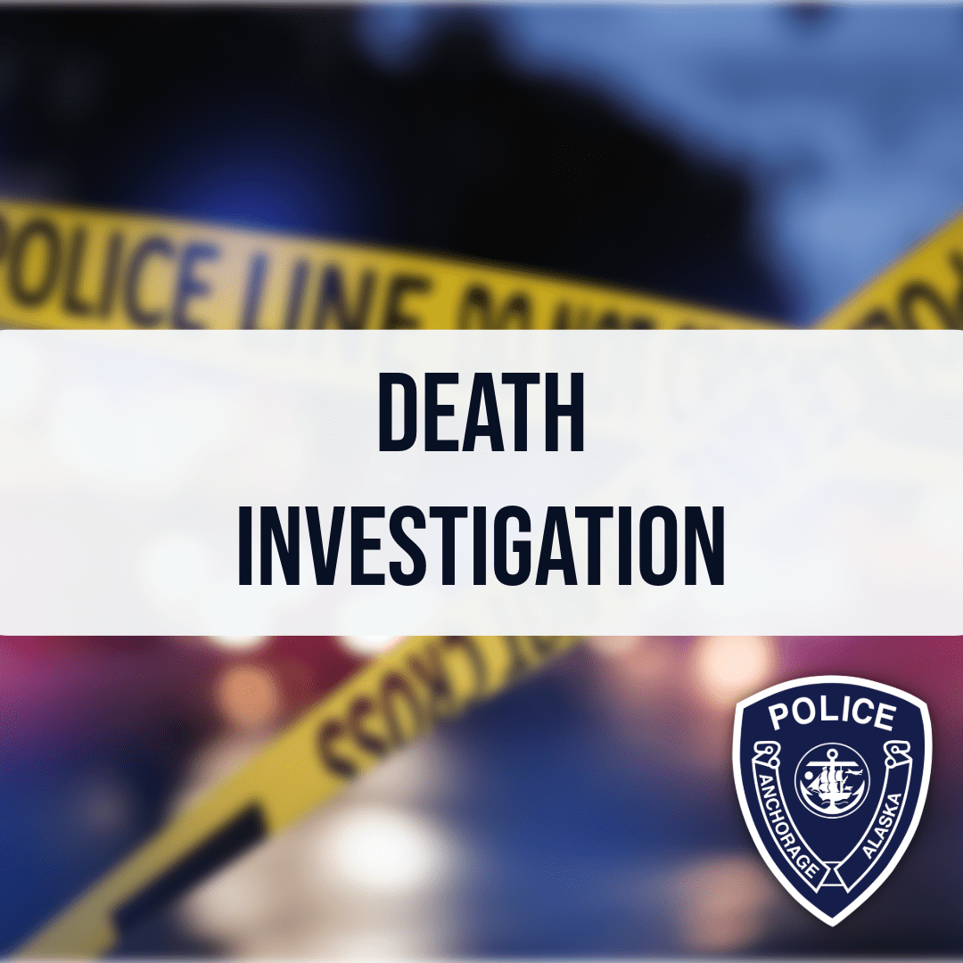 Anchorage Knife Killing Leads to Custody of 22-Year-Old