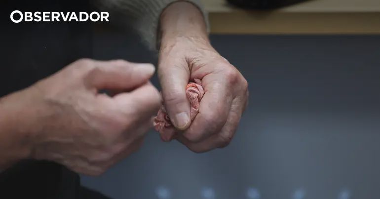 Sete arguidos de Lousada permanecem detidos por abusos em residências clandestinas para idosos
