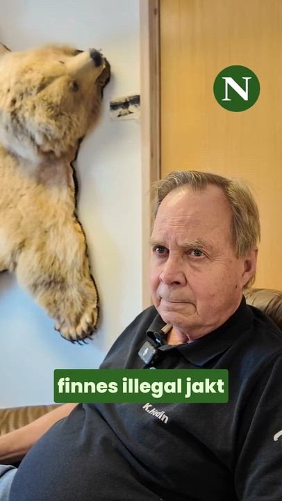 Svensk milliardær tiltalt for ulovlig ulvejagt i Norge