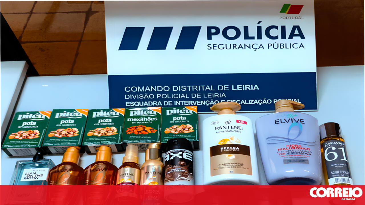 Grupo usava crianças e carrinhos de bebé para ocultar produtos furtados em Leiria