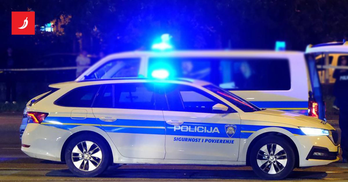 Mladić bez dozvole bježao autom od policije, srušio naplatne rampe i završio u sudaru
