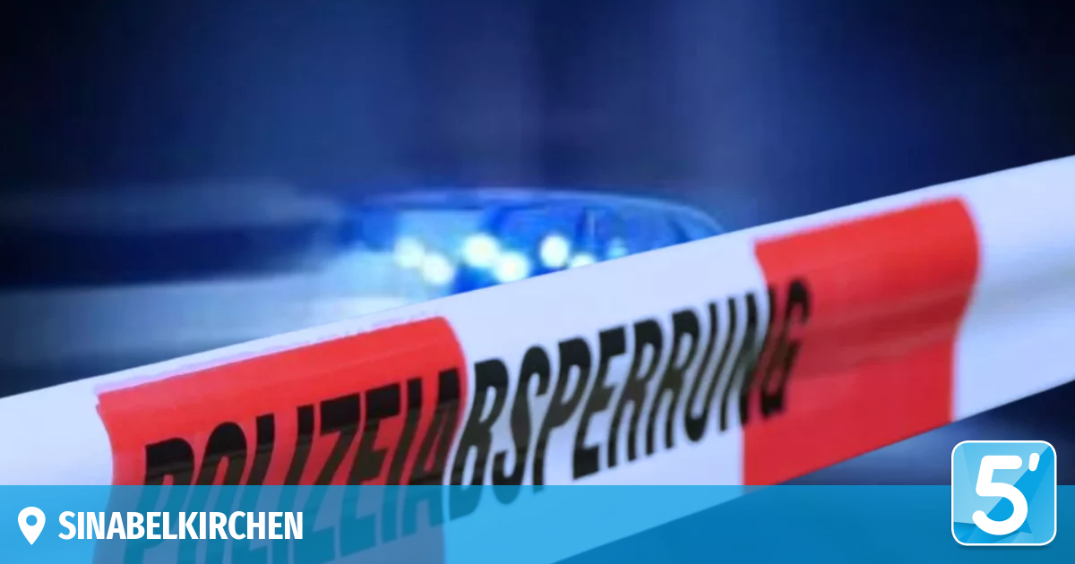 Mann greift in Steiermark mehrere Personen mit Messer an