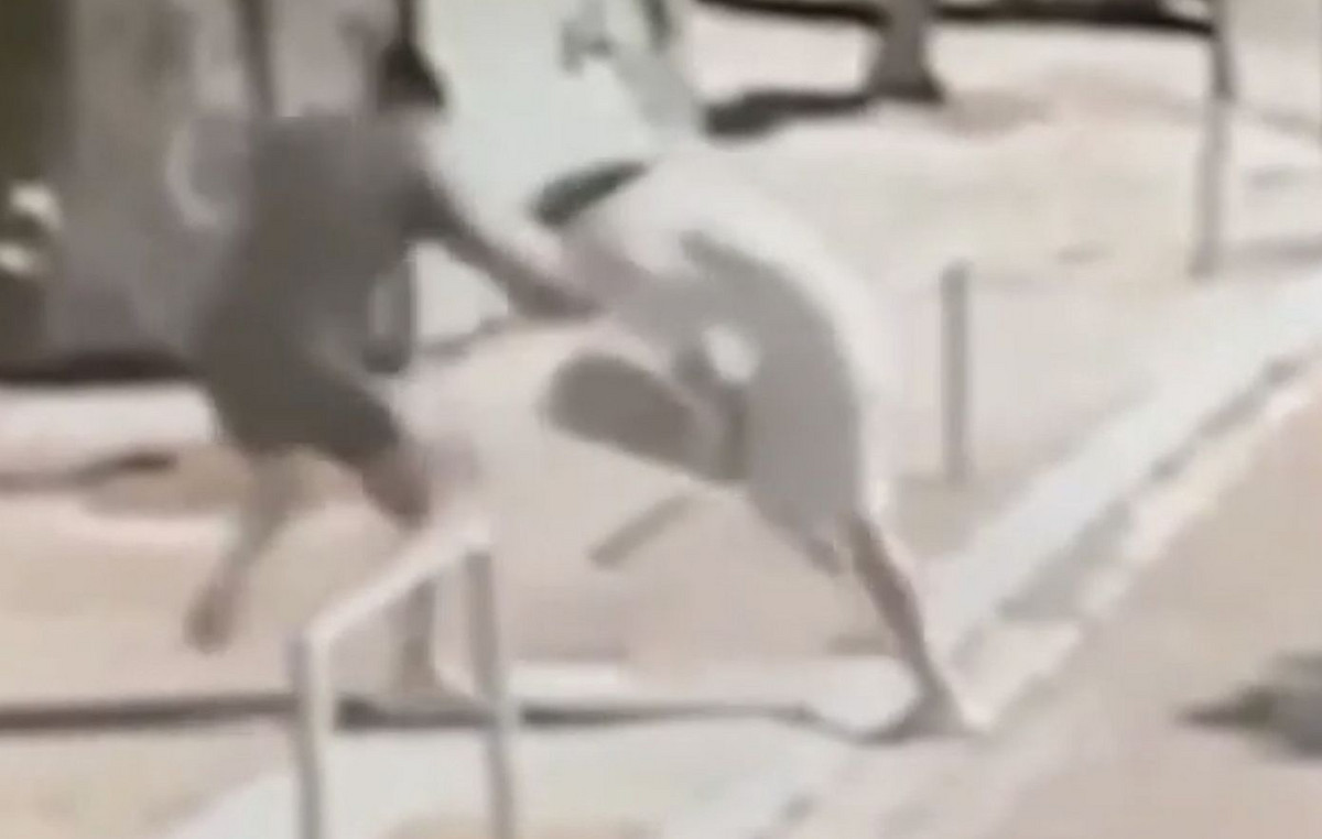 Συλλήψεις ανηλίκων για ληστείες σε σταθμούς του ΗΣΑΠ