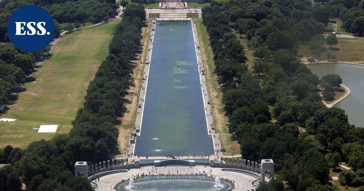 Former U.S. Olympic Athlete Arrested in Connection with Reflecting Pool Vandalism