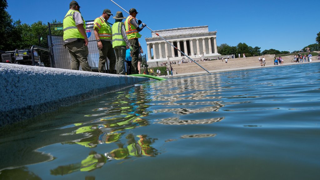 Five Arrested Over Vandalism of Lincoln Memorial Reflecting Pool in Washington