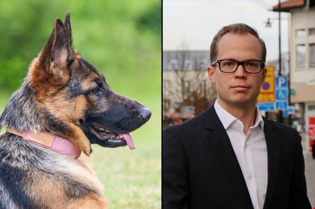 Polishundar hittade narkotika på skola i Kungsbacka