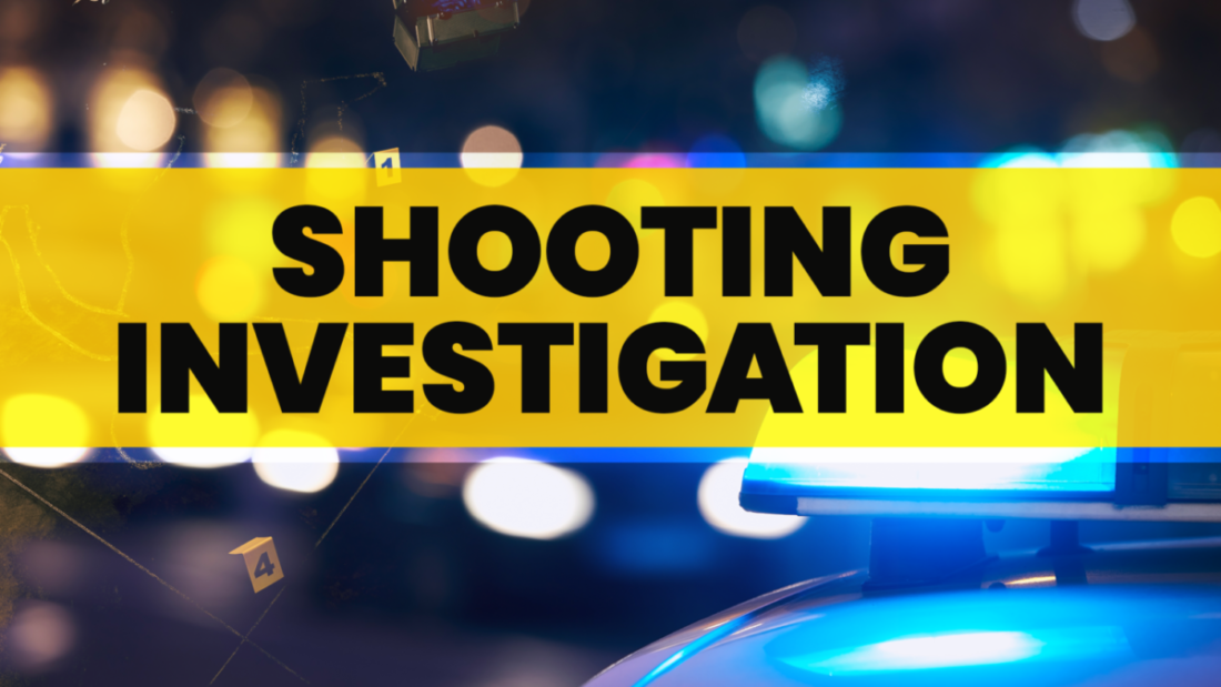 Two Arrested After Early-Morning Shooting on Queen Elizabeth Highway