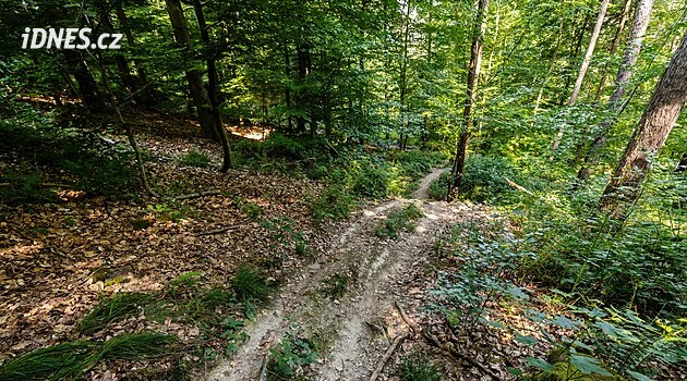 Jäger in Deutschland wegen Mordversuchs angeklagt – Stacheldrähte über Radweg gespannt