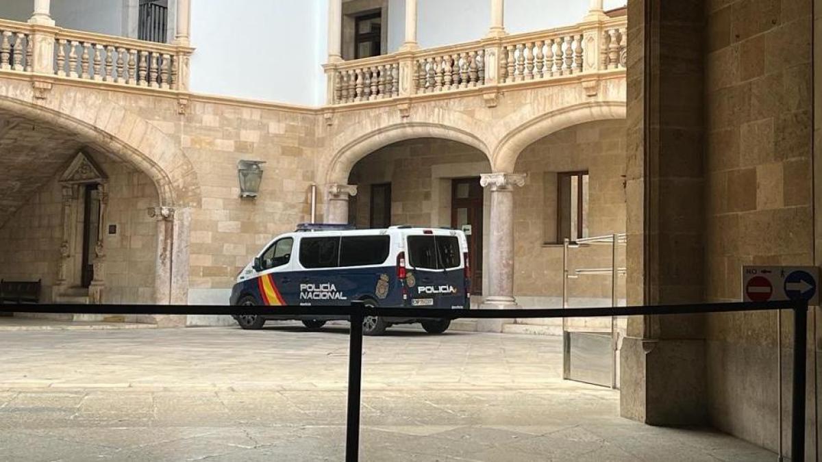 Detenido en Palma un joven de 20 años por abusar sexualmente de su hermanastro de tres