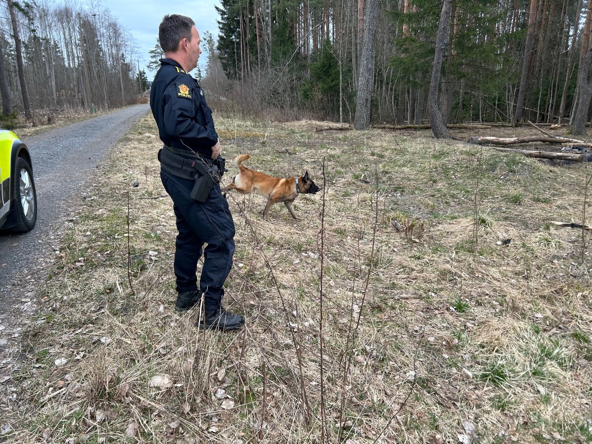 32-årig mand sigtet for voldtægt få dage før Nebbursvollen-hændelse