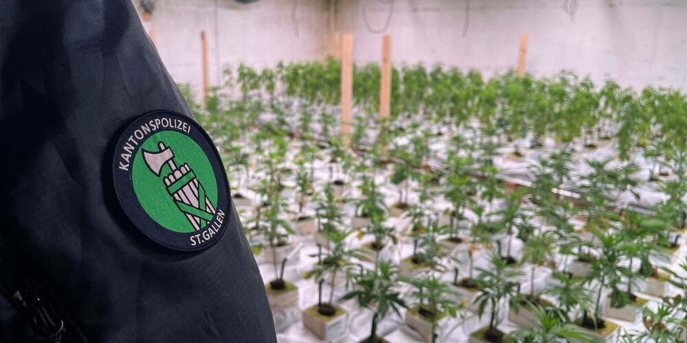 Indoor-Hanfanlage in Untereggen SG entdeckt