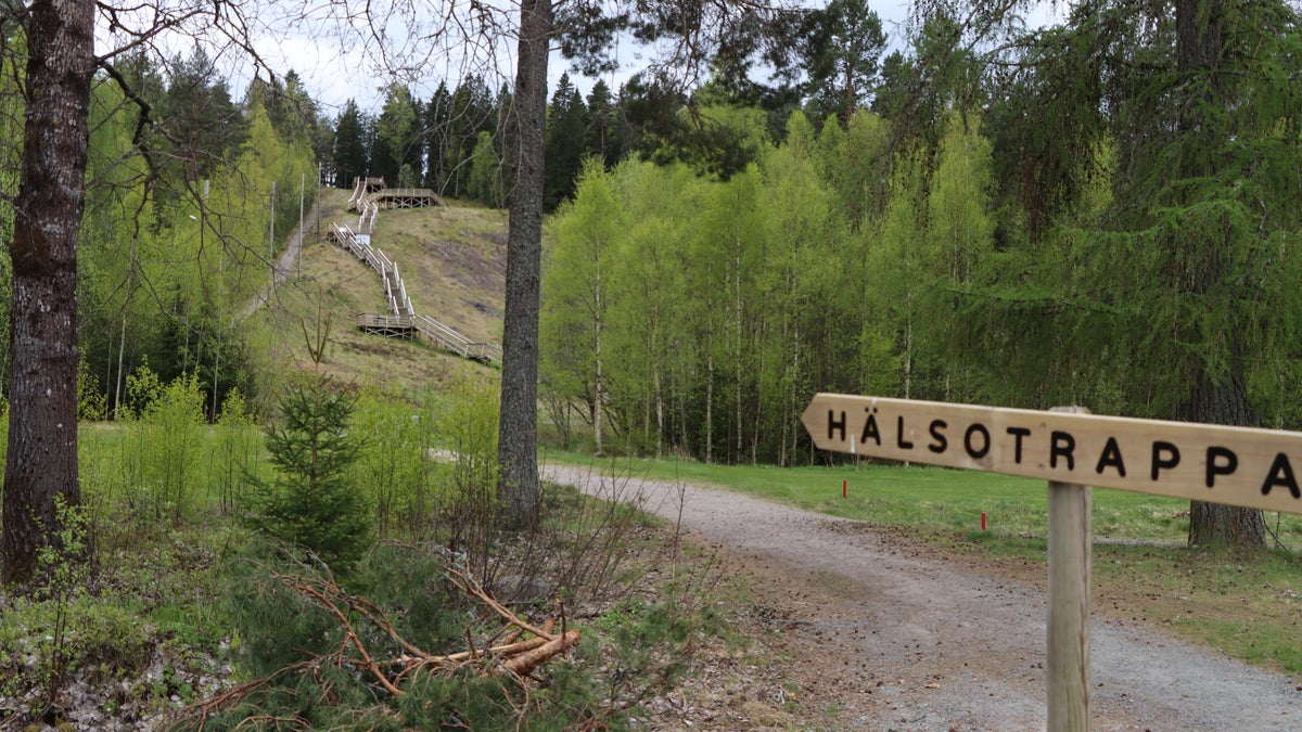 Två gripna efter drogförvaring i skogsområde