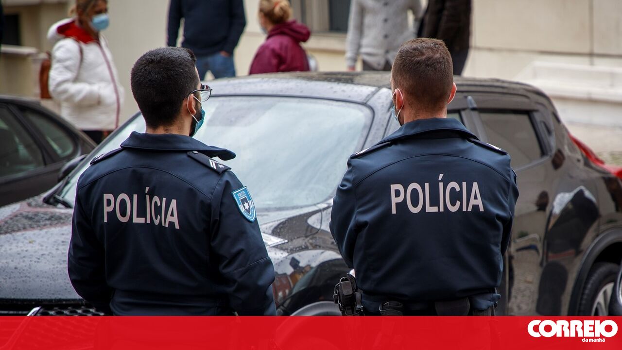 PSP desmantela unidade de produção de canábis em Castelo Branco e detém suspeito