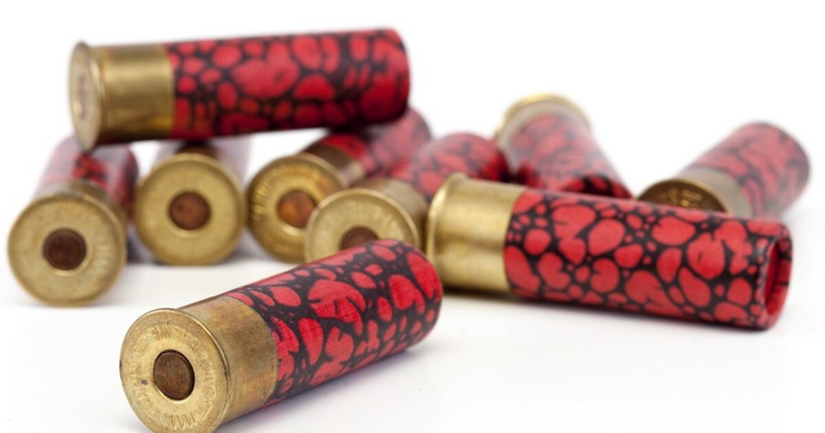 Namur : cinq ans avec sursis pour détention de pédopornographie, arme et munitions