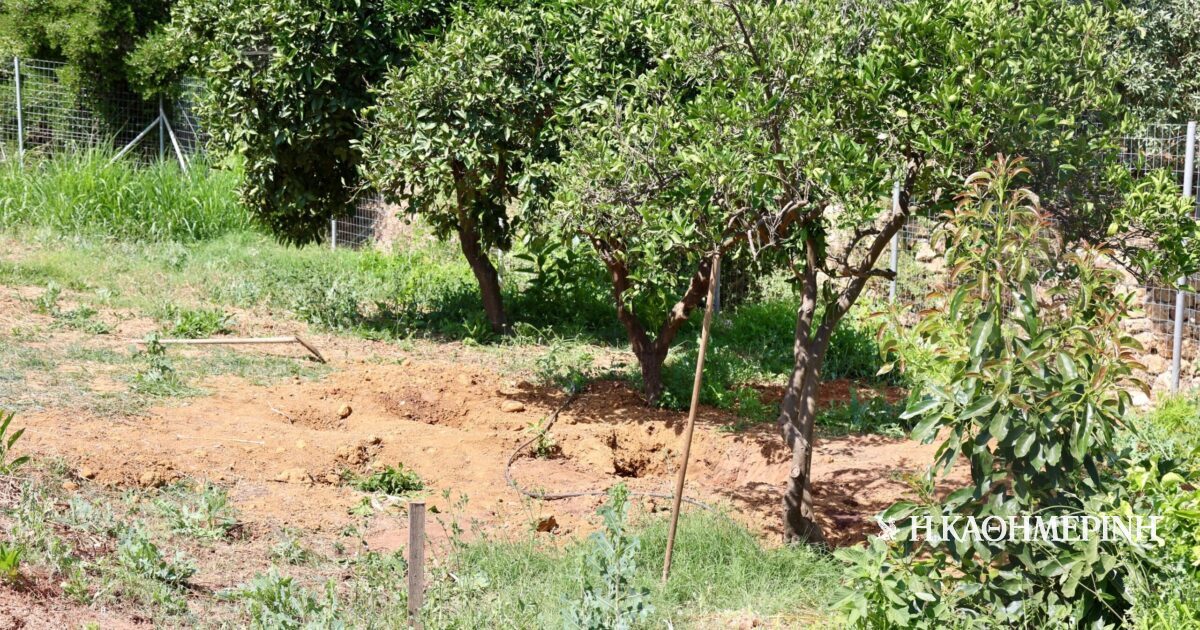 Υπόθεση ανθρωποκτονίας στα Χανιά: Ομολογία μετά από αντιφατικές καταθέσεις