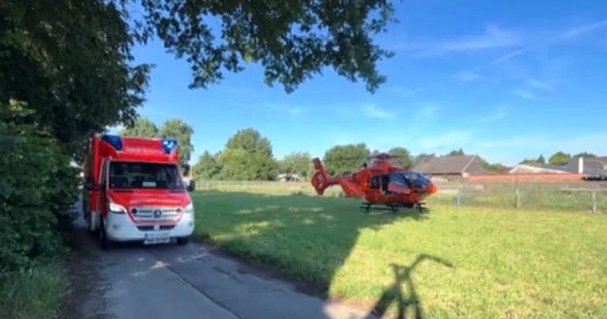 Rumänin bei Streit auf Erdbeerhof in Deutschland erstochen – Landsmann festgenommen