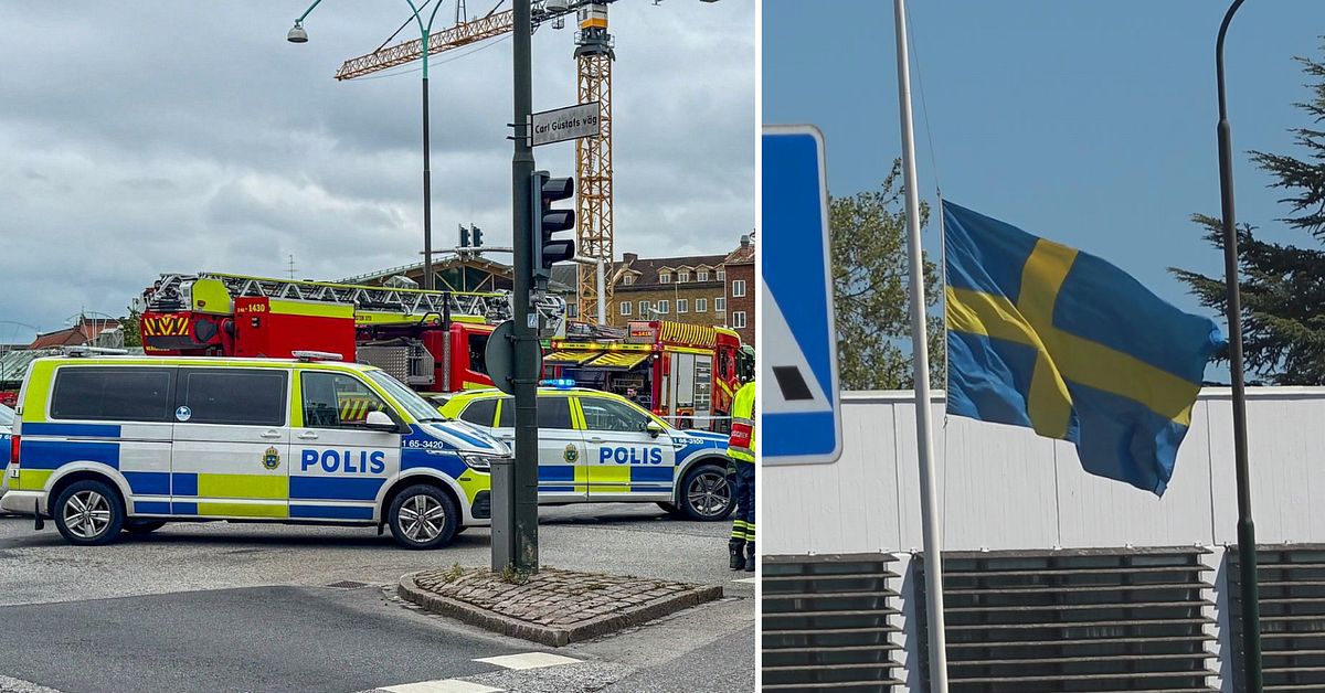 Tonårsflicka ihjälkörd i Malmö – föraren häktad och erkänner brott