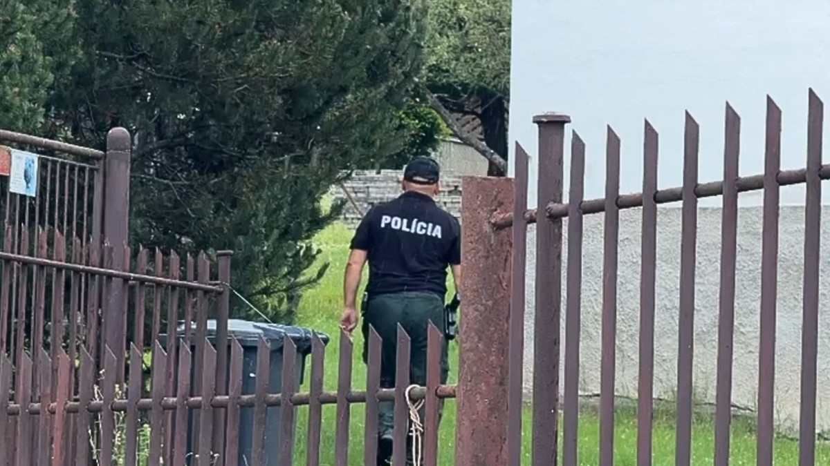 Po prepustení z väzby zavraždil manželku, súd predtým odmietol jej žiadosť o ochranu