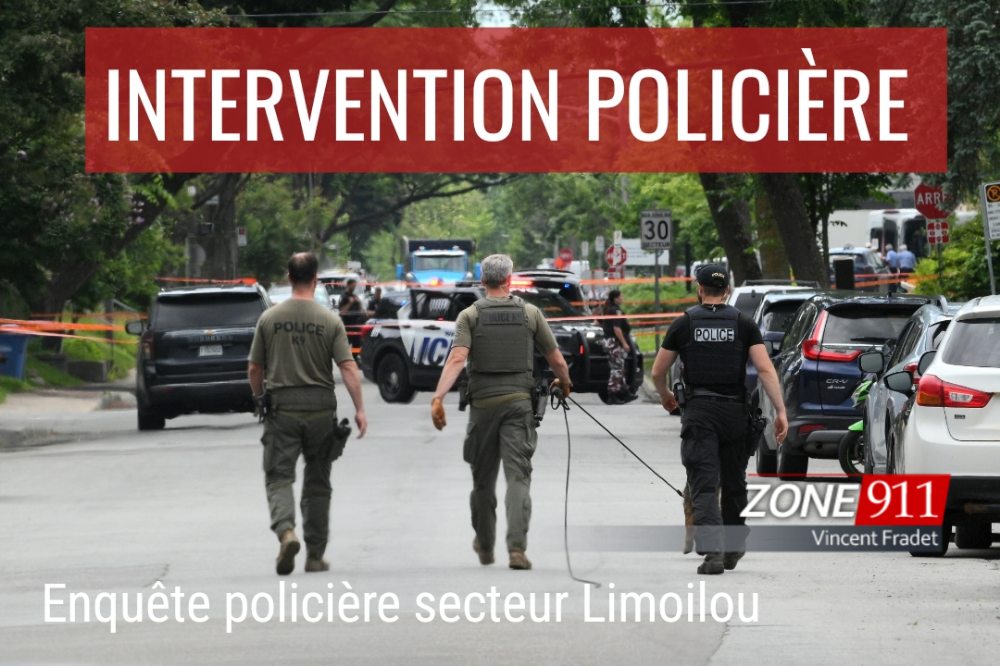 Police respond to assault on Vitré Avenue in Limoilou