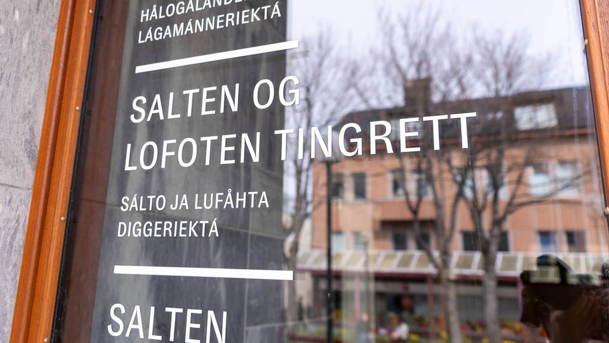 Teenager skal i norsk ret for overgreb mod barn under 14 år